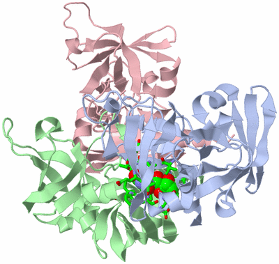 Image Asym./Biol. Unit - sites