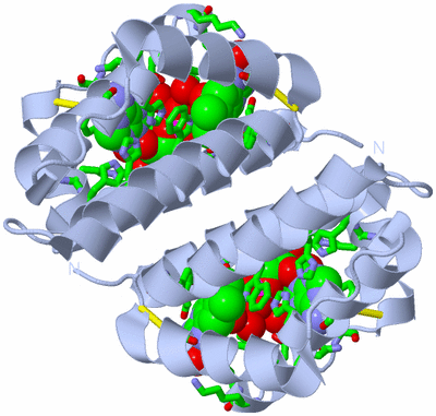 Image Biol. Unit 1 - sites