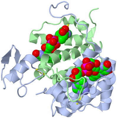 Image Biological Unit 1