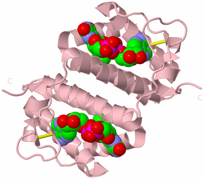 Image Biological Unit 2