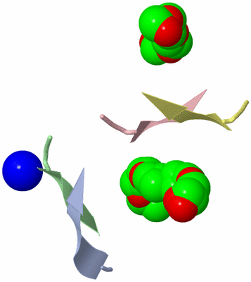 Image Asymmetric Unit