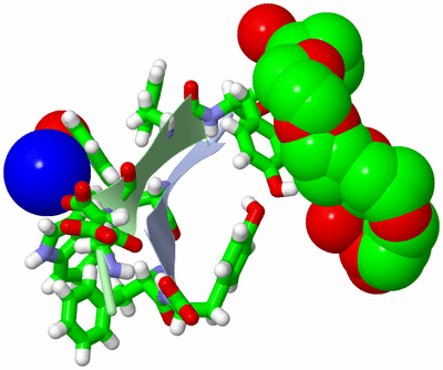 Image Biol. Unit 1 - sites