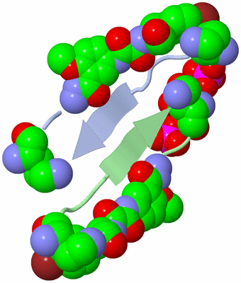 Image Biological Unit 1