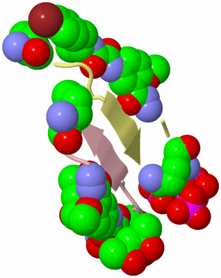 Image Biological Unit 2