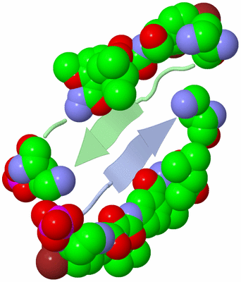 Image Biological Unit 1