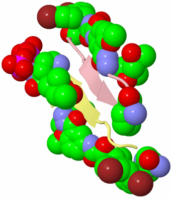 Image Biological Unit 2