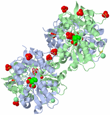 Image Biological Unit 1