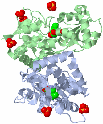 Image Biological Unit 2