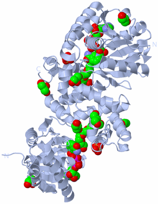 Image Biological Unit 1