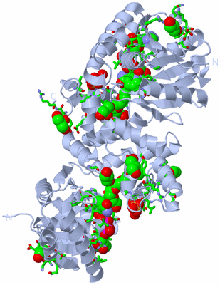 Image Biol. Unit 1 - sites