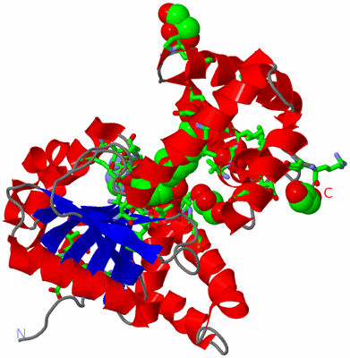 Image Asym. Unit - sites