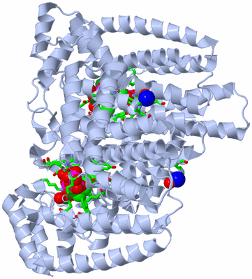 Image Biol. Unit 1 - sites