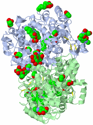 Image Asym./Biol. Unit