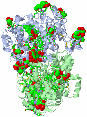 Image Asym./Biol. Unit - sites