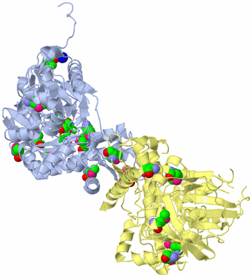 Image Biol. Unit 1 - sites