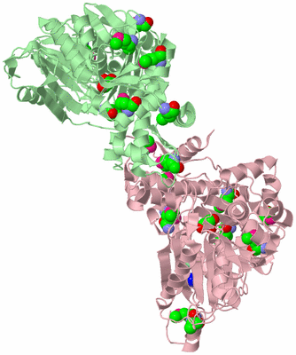 Image Biological Unit 2