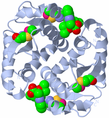 Image Biological Unit 1