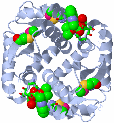 Image Biol. Unit 1 - sites