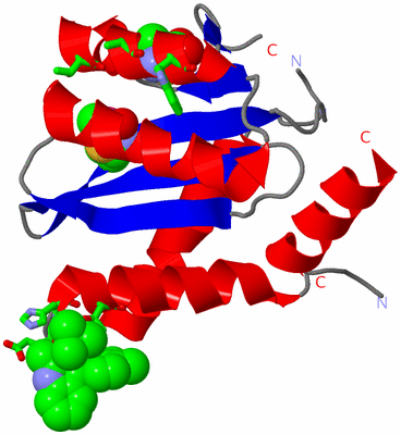 Image Asym. Unit - sites