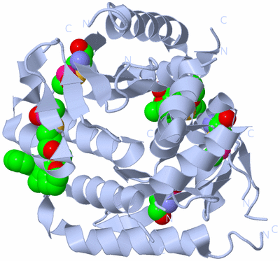 Image Biological Unit 1