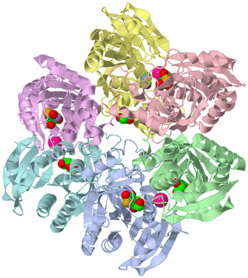 Image Biological Unit 1