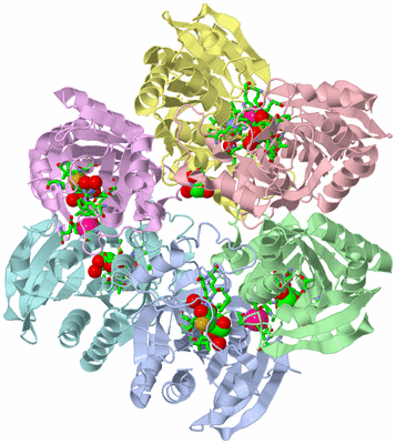 Image Biol. Unit 1 - sites