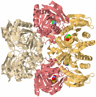 Image Biological Unit 2