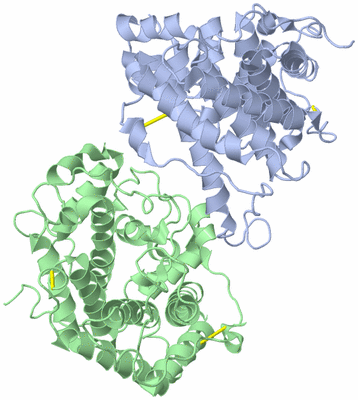 Image Asymmetric Unit