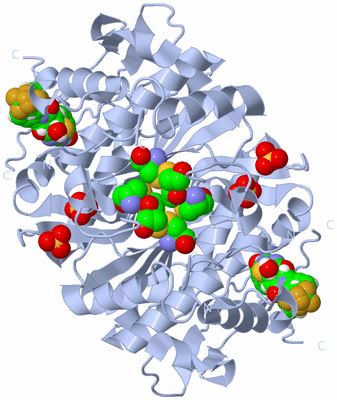 Image Biological Unit 1