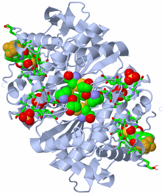 Image Biol. Unit 1 - sites