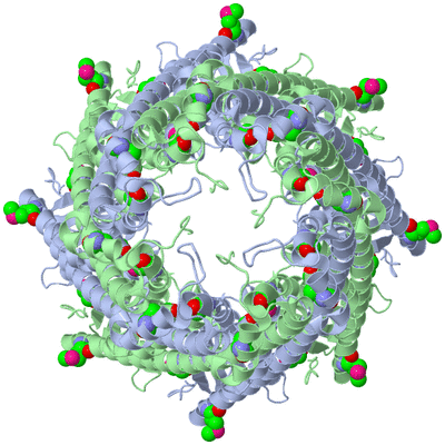 Image Biological Unit 1