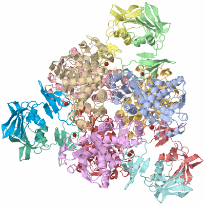 Image Asym./Biol. Unit