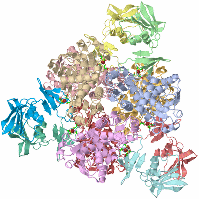 Image Asym./Biol. Unit - sites