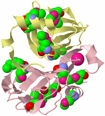 Image Biological Unit 2