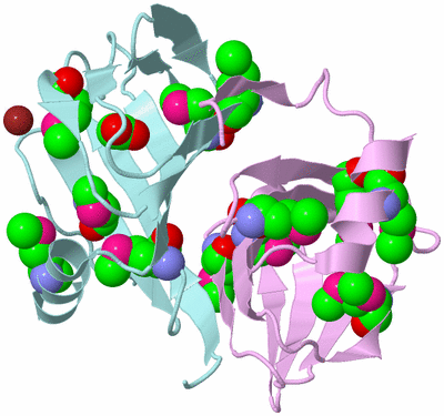 Image Biological Unit 3