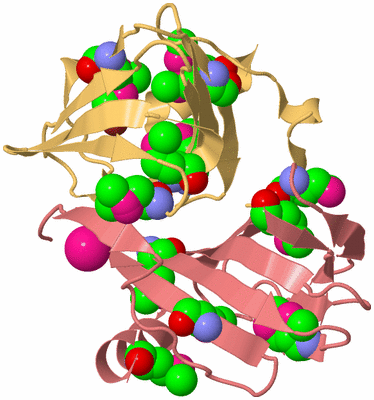 Image Biological Unit 4