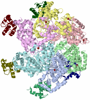 Image Biological Unit 1