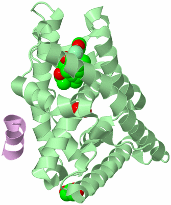 Image Biological Unit 2