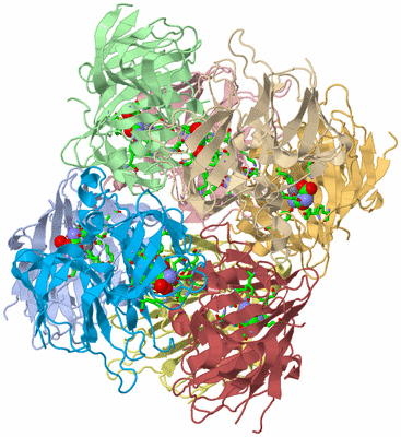 Image Biol. Unit 1 - sites