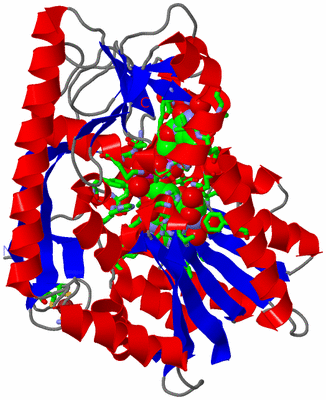 Image Asym./Biol. Unit - sites