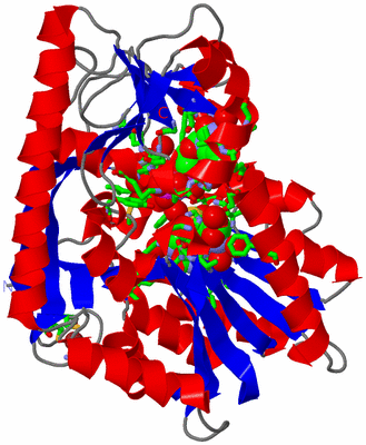 Image Asym./Biol. Unit - sites