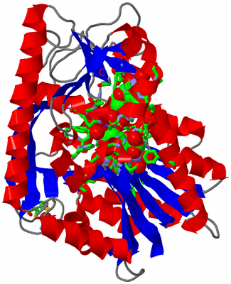 Image Asym./Biol. Unit - sites