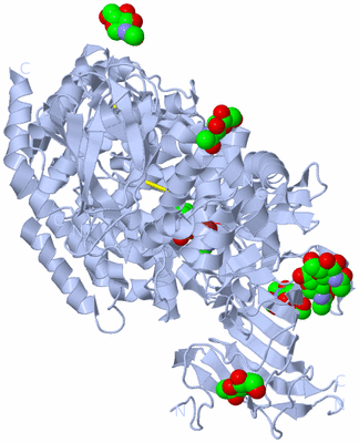 Image Biological Unit 1