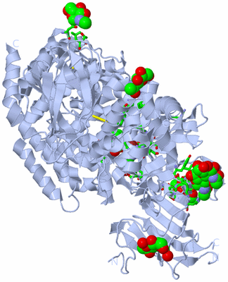 Image Biol. Unit 1 - sites