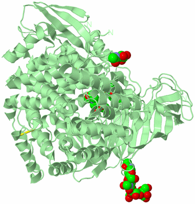 Image Biological Unit 2