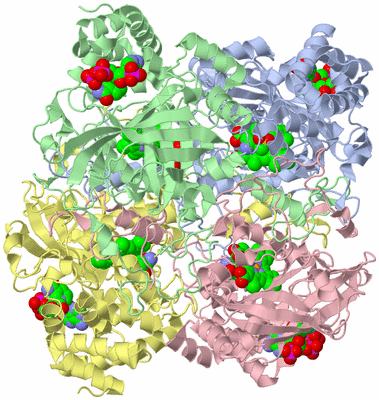 Image Asym./Biol. Unit