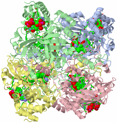 Image Asym./Biol. Unit - sites