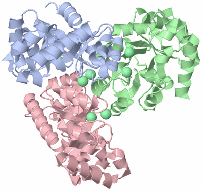 Image Asym./Biol. Unit