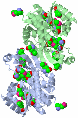 Image Asym./Biol. Unit