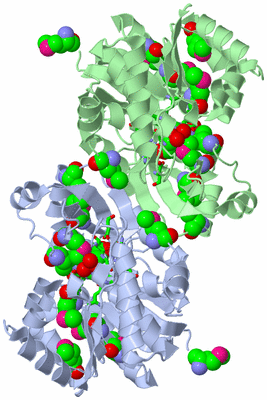 Image Asym./Biol. Unit - sites